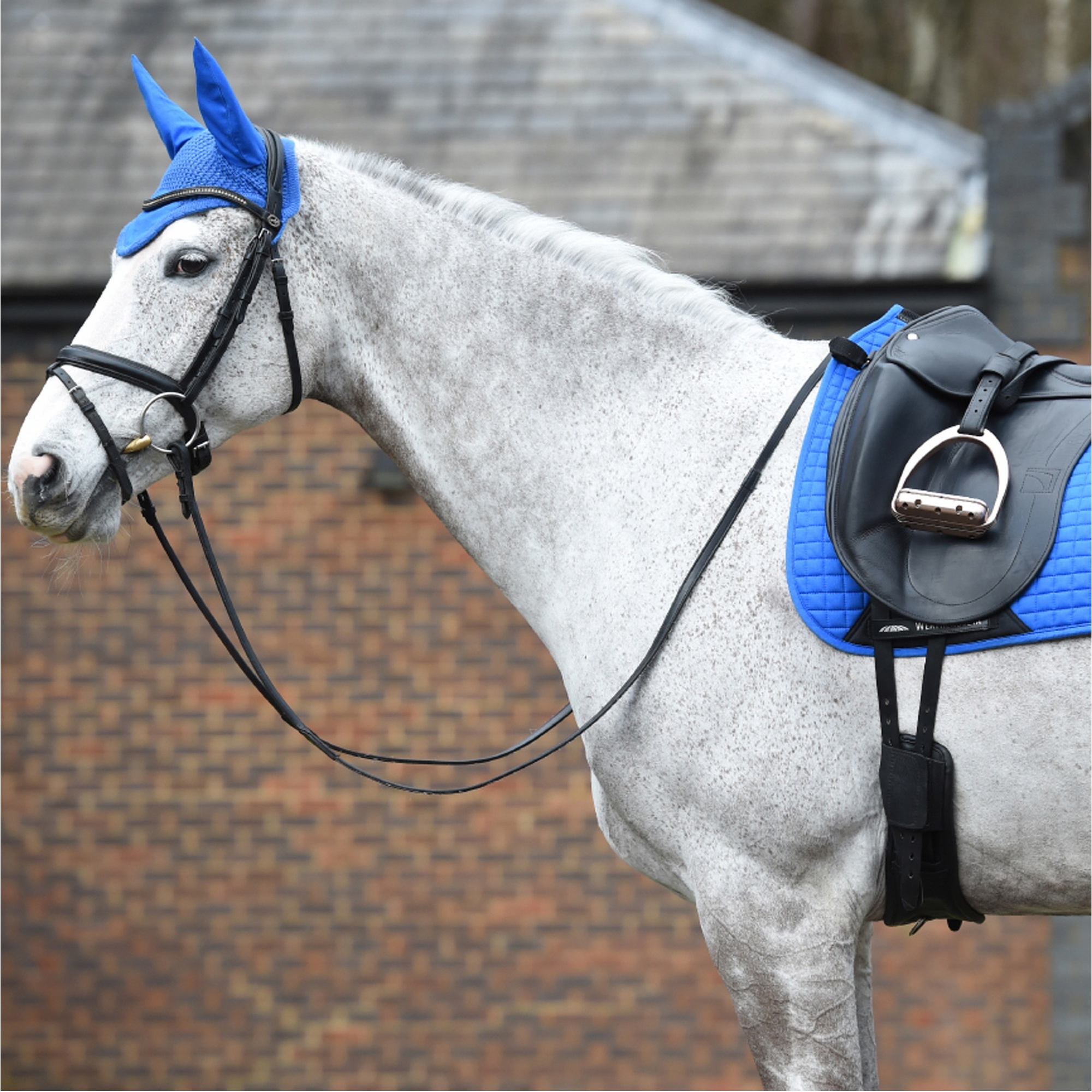Weatherbeeta Prime Ear Bonnet 1000071 - Royal Blue